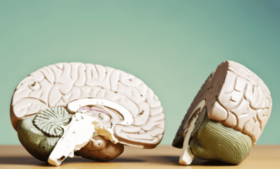 screenshot-2026-01-27-162609